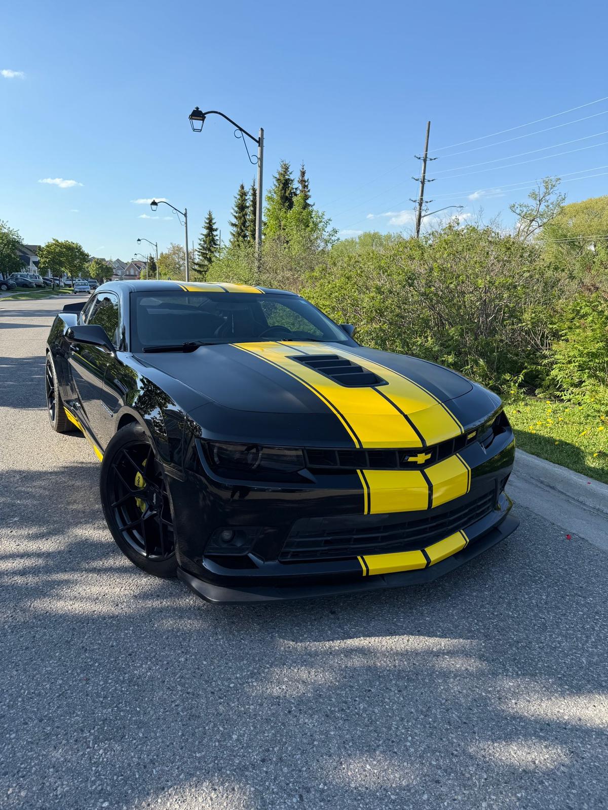Matte PPF